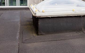 disadvantages of John Ogaunts flat roofs