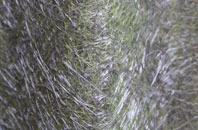 John Ogaunts fibreglass roof work